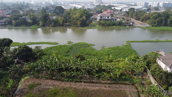 ขายที่ดินติดริมน้ำ เนื้อที่ 2 ไร่ 3 งาน 44 ตร.ว. ในหมู่บ้าน มณีรินทร์ เลค แอนด์ ลากูล รังสิต-ปทุมธานี อำเภอเมืองปทุมธานี โทร 0938141475